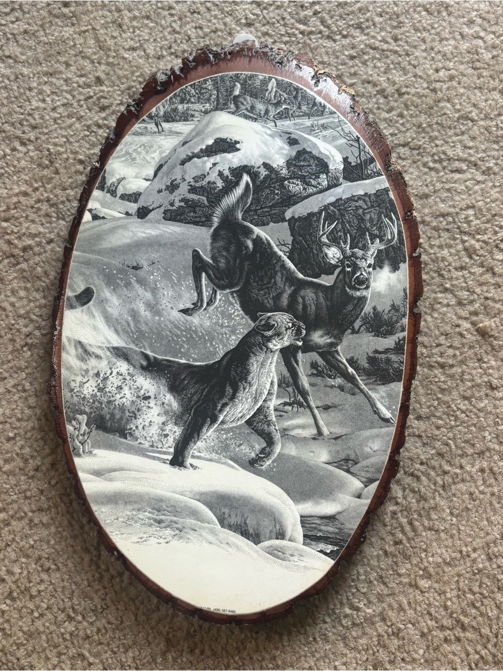 Dinner On The Run Print By Bill-Linda O'Neill Wildlife Scene Mountain Lion Deer
